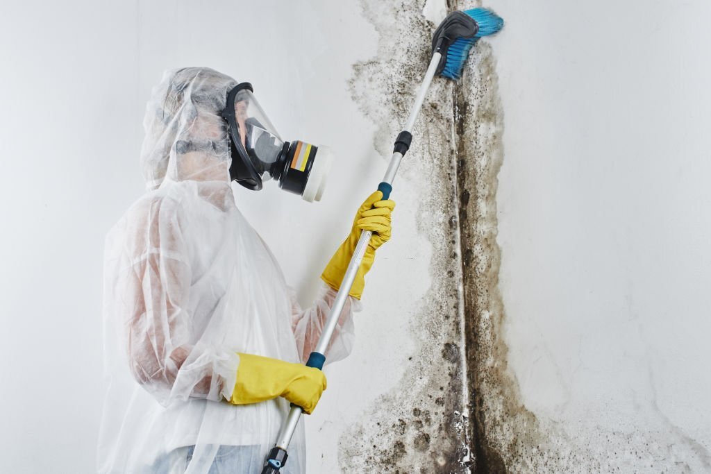 How To Spot Mold Before You Buy