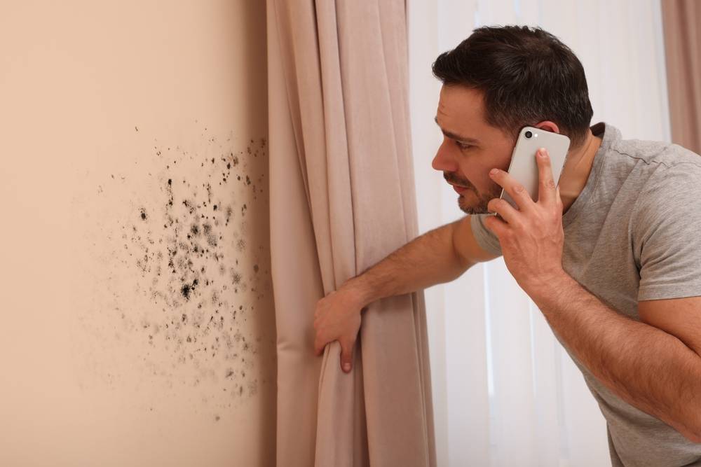 HOME, Discount Water and Mold Removal