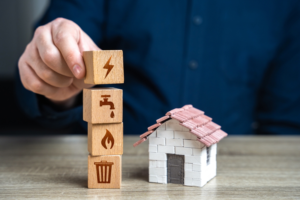 How to Choose the Right Mold Removal Company