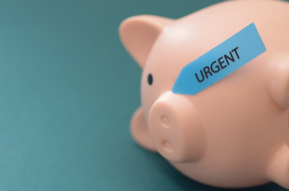 mold remediation cost