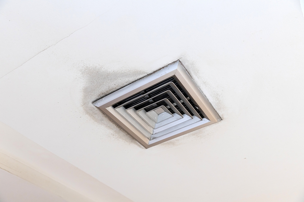 Mold in the Air How It Impacts Indoor Air Quality