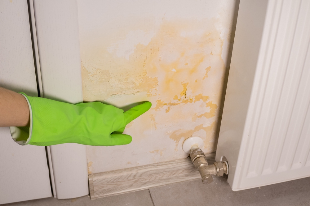 water damage new port richey