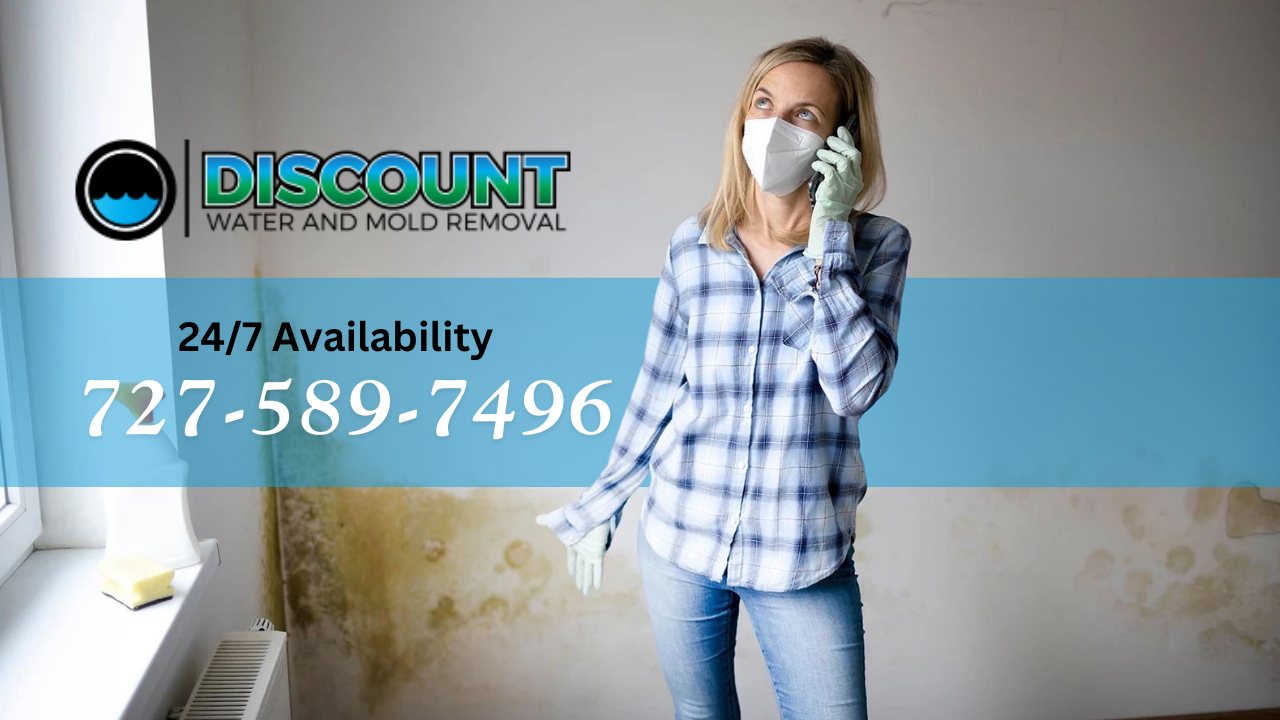 Discount Water and Mold Removal